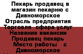 Пекарь-продавец в магазин-пекарню с.Дивноморское › Отрасль предприятия ­ Торговля, сфера услуг › Название вакансии ­ Продавец-пекарь › Место работы ­ с.Дивноморское › Минимальный оклад ­ 15 000 › Максимальный оклад ­ 20 000 › Возраст от ­ 18 › Возраст до ­ 45 - Краснодарский край, Геленджик г. Работа » Вакансии   